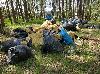 illegale Abfallentsorgung bei Viez