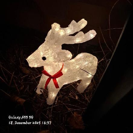 Foto zur freien Verwendung: Reh