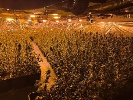 Allein das sichergestellte lose Marihuana entspricht einem Schwarzmarktwert von über 200.000 Euro.