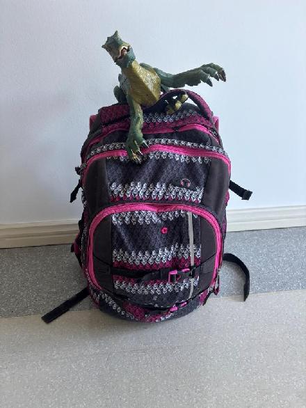 Foto: Rucksack mit Dino gefunden und Besitzer gesucht Foto zur freien Verwendung