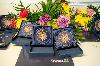 Die Geehrten erhielten eine Medaille, eine Urkunde sowie Blumen als Anerkennung ihres Engagements