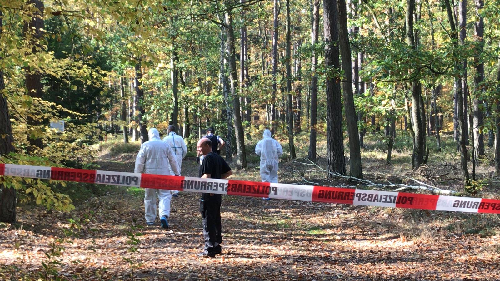 POL Bild Kripo im Wald POL Bild Kripo im Wald